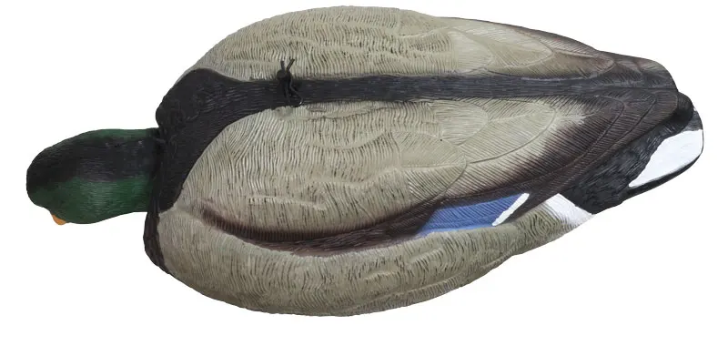 DK5674D-051.jpg