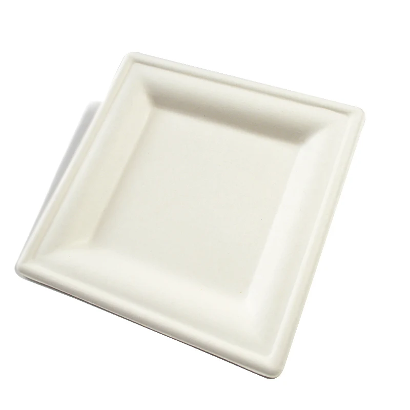 

Alibaba Compostable Biodegradable Disposable Good Square Paper Plate Sugarcane Bagasse Paper Plate Sets for Kinds