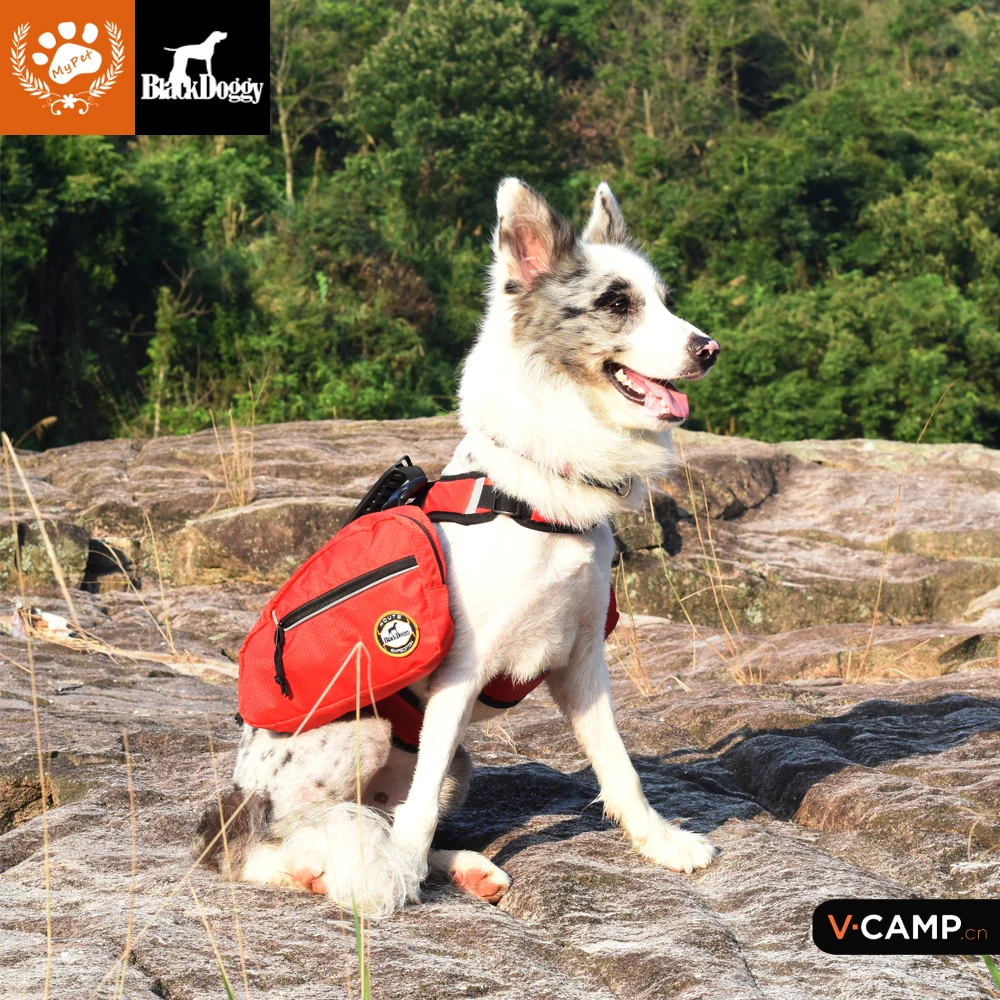 dog knapsack