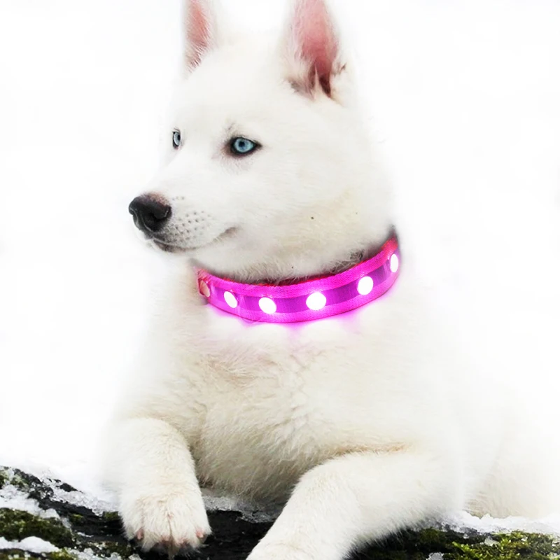 

XL/L/M/S USB rechargeable good quality nylon reflective led led jewel dog collar