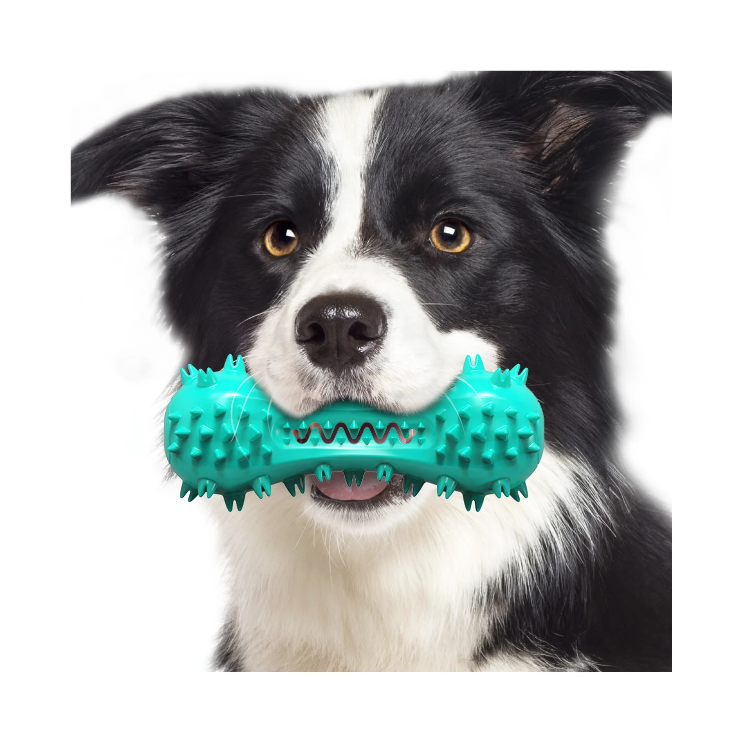 

Mydays Multifunction Tpr Reusable Durable Multicolor Dog Teeth Cleaning and Nursing Chew Toys for Small Medium Dogs Pet