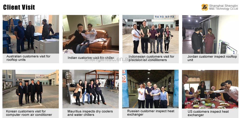 p5.jpg