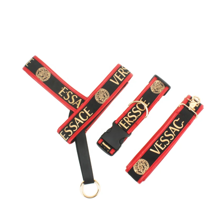 

High-end Custom Us Popular Street Fashion Brand Design Dog Harness Collar Leash Set