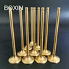 intake Valve Exhaust valve engine valve for peugeot 405 206 OEM 97531044