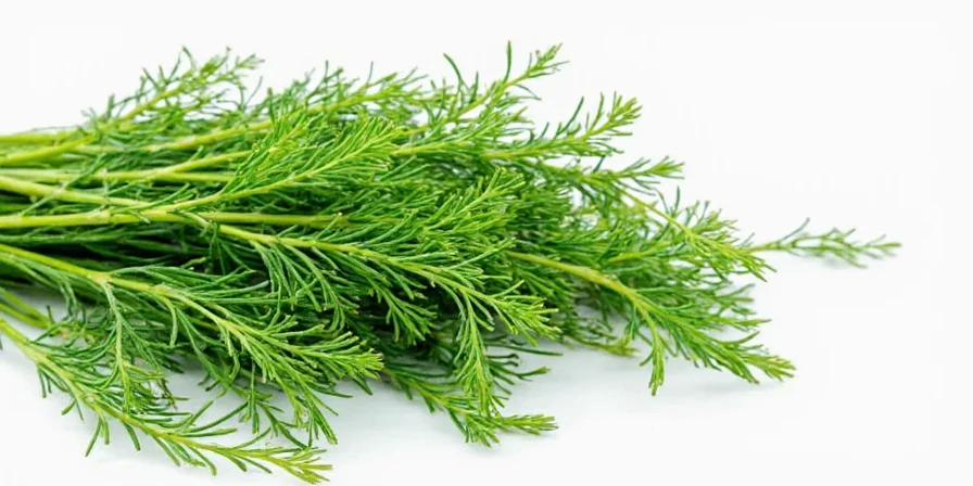 Funny infographic of dill facts