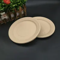 

9 Inch Disposable 100% Natural Biodegradable Raw Materials Paper Plate Disposable Dishes Plate