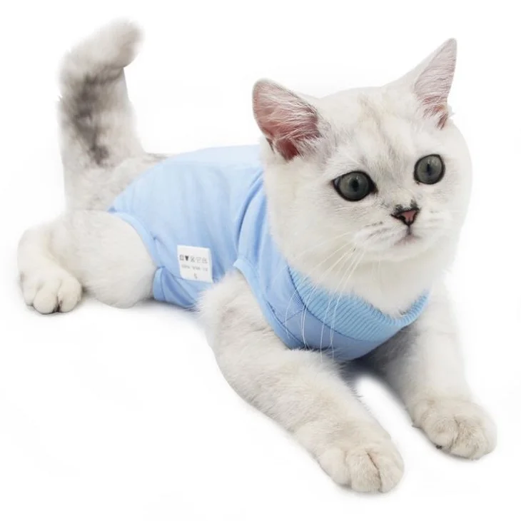 

Wholesale Wound Protector Post-Operative Vest Pet After Surgery Wear Substitute Cat Recovery Suit Cat Medical Surgical Clothes