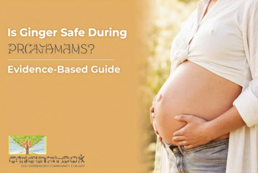 fresh ginger root and tea preparation for pregnancy