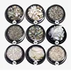 Japanese imported nail shell slice fantasy ultra thin natural irregular abalone shell shell powder nail decoration