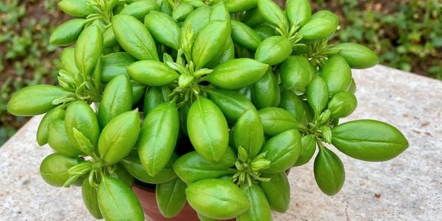 Homemade basil pesto in a mortar and pestle