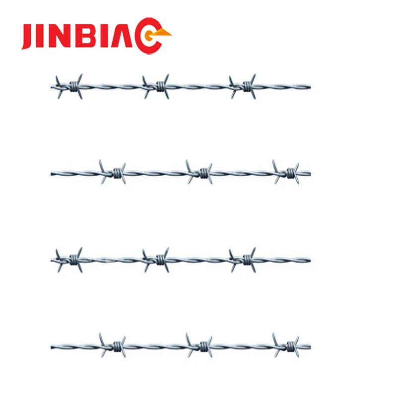 barbed wire18.jpg