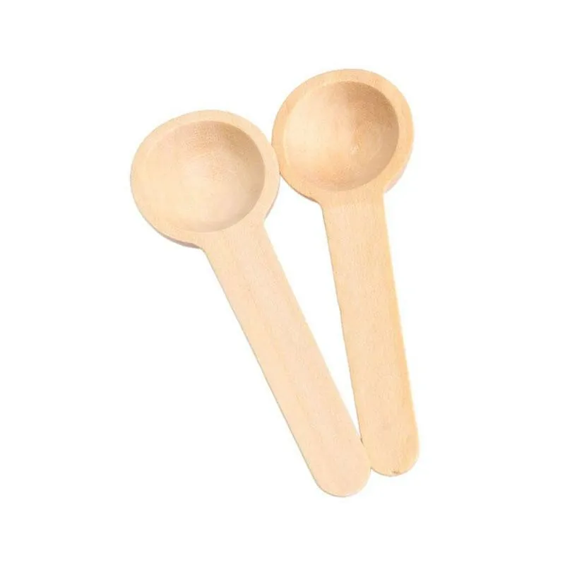 

Portable food grade dessert tea spoon for tea tools