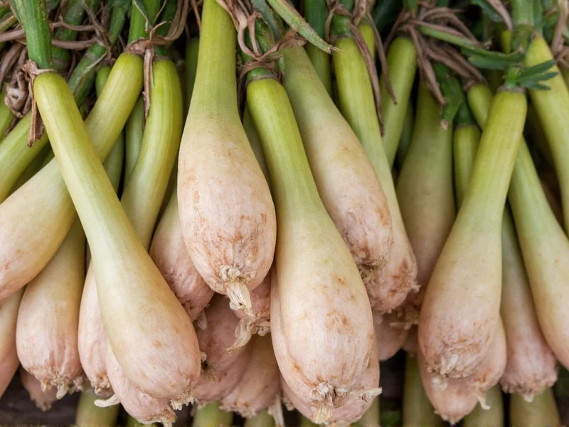 Galangal in Thai Cooking: Essential Root Explained