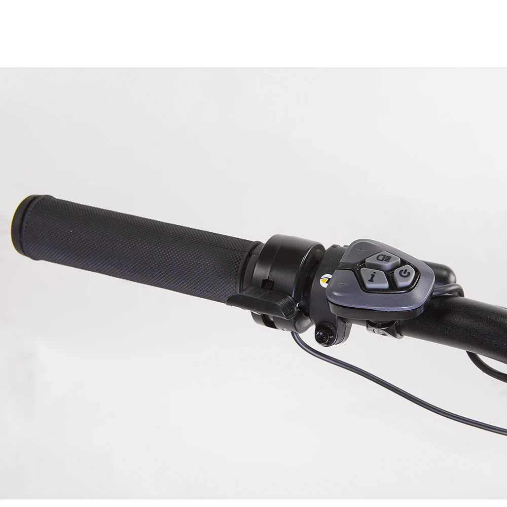 Bolton Warthog Md1000 Dual Battery Fat Tire Electric Bike With Belt