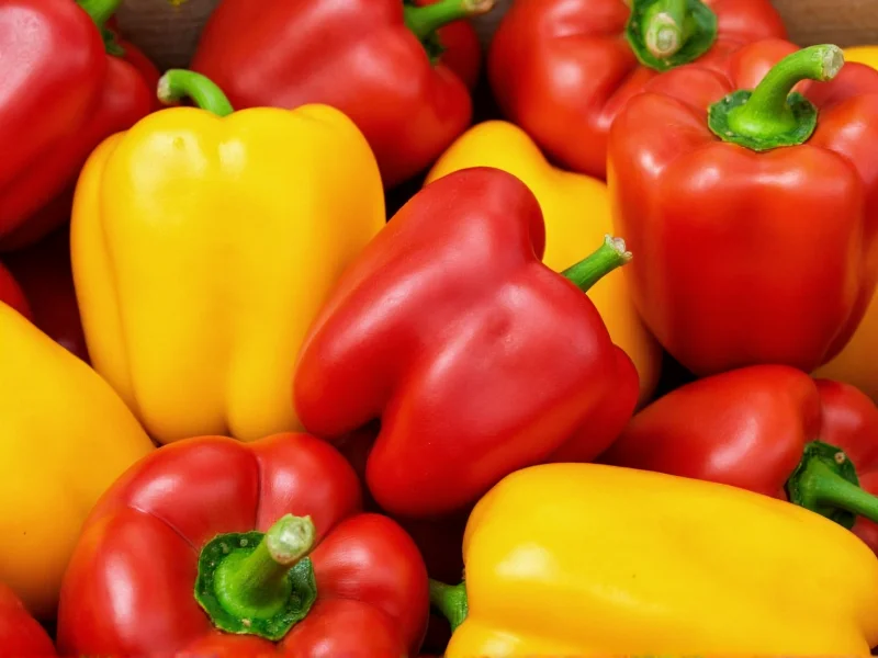 Which Bell Peppers Are Sweet: Color Guide to Sweetest Varieties