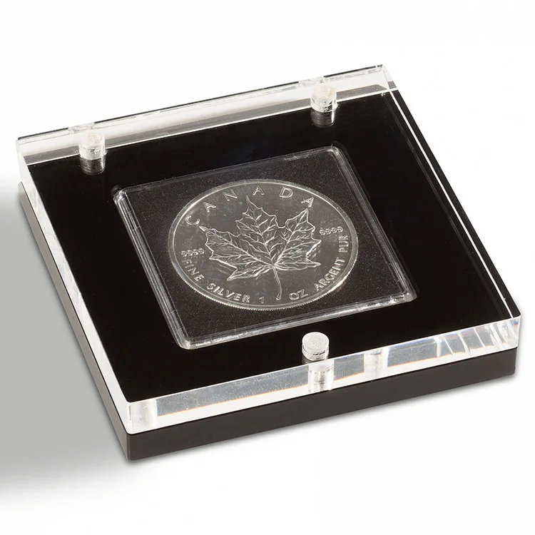 Clear Lucite Coin Display Frame with Magnets - Perfect for Collectibles