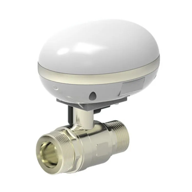 Smart Sprinkler Timer