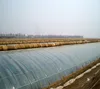 China Special Soil Tent Automatic Absorb and Store Heat for Winter Planting without Heating