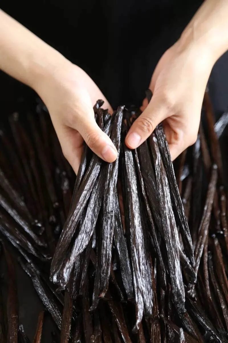 
All Natural 14-18cm A Grade Madagascar Vanilla Beans with KG Price 
