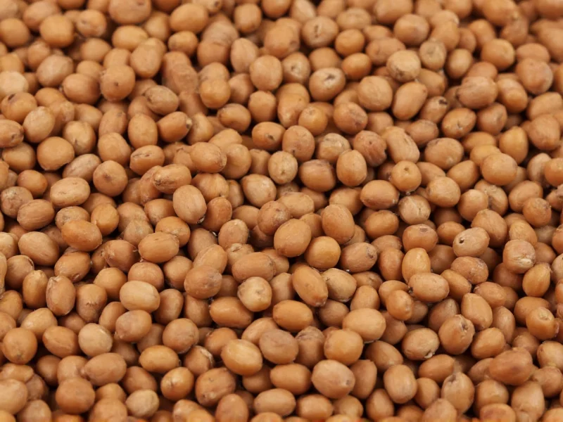 Yes, Lentils Are Legumes: Complete Guide