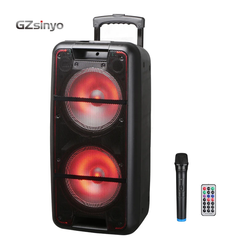 

double 10inch trolley hot sell low price outdoor portable speaker system with usb charger, Black