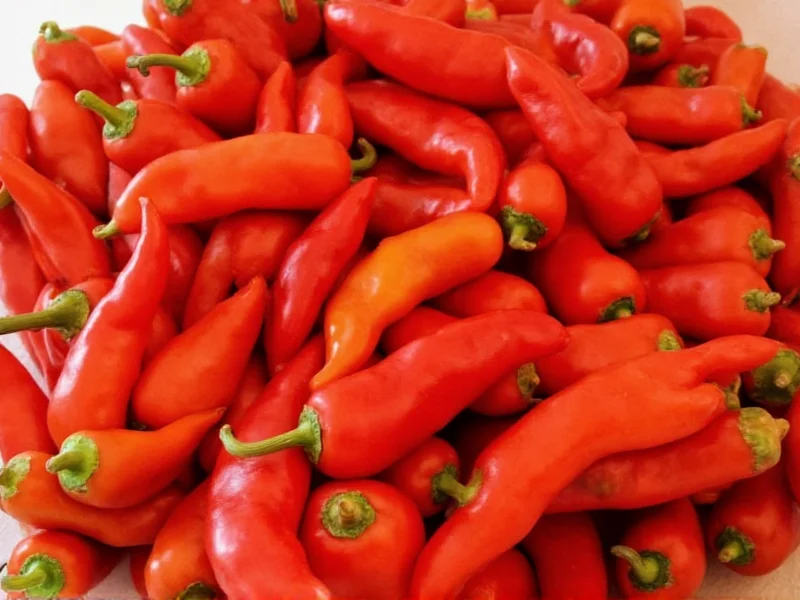 Fresno Pepper Heat Level: 2,500-10,000 SHU Explained