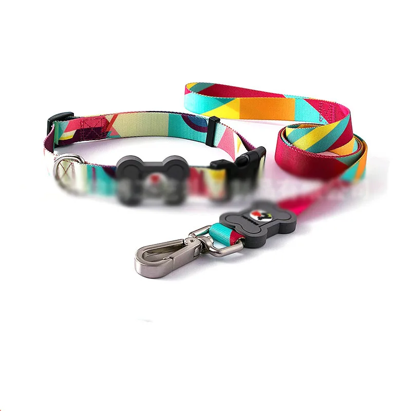 

No pull small dog leash and collar for terrier schnauzer pet dog walking training supplies, Many