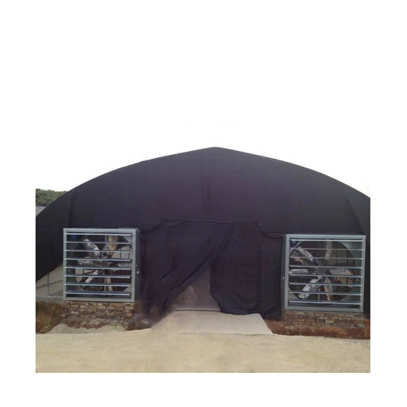 
low cost Conveniently polytunnel greenhouse with Excellent strength for agriculture 