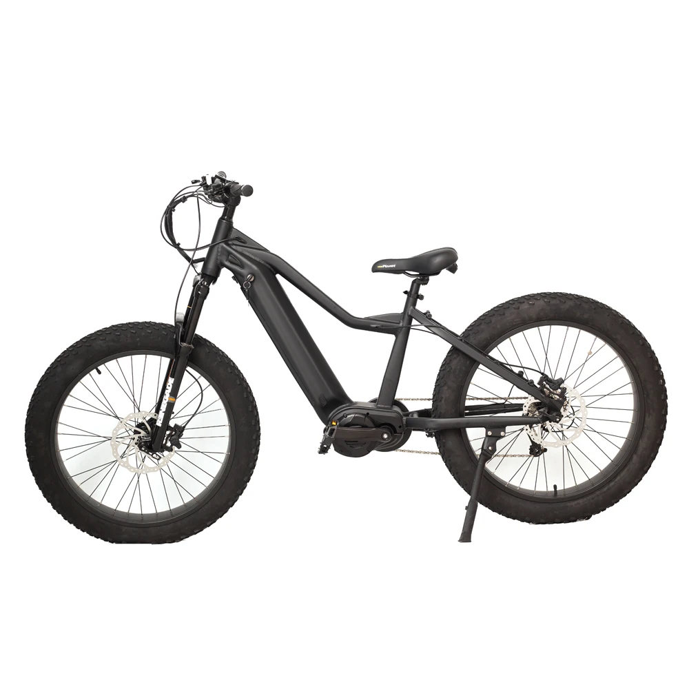 

Fat tire throttle ebike 1500w bicicleta electrica bafang mid motor electric fat bike ready to ship