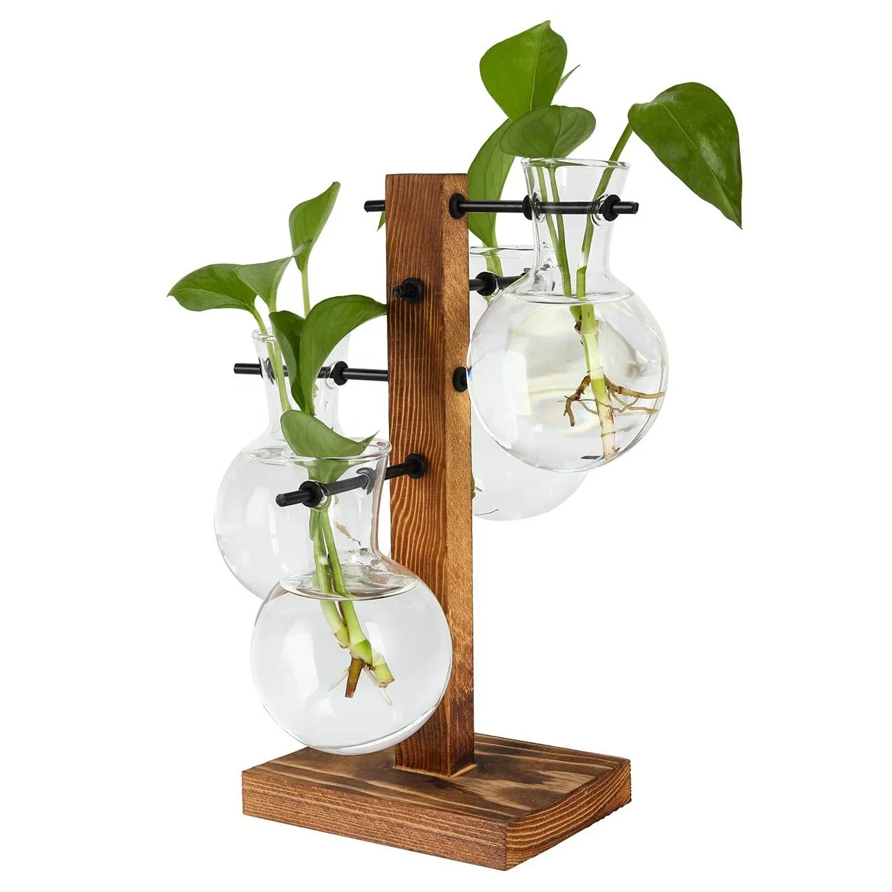 

Amazon Glass Planter Bulb Vase, Desktop Hydroponics Plant Terrarium with Retro Solid Wooden Stand and Metal Swivel Holder, Clear transparent