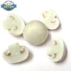 DETAN High Qualtity White Button Fresh Mushroom