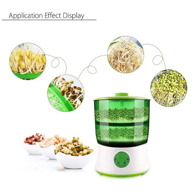 
Automatic Green Mung bean pea sprout productor growing machine for sprouting soya 