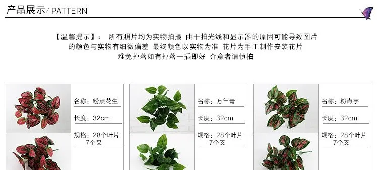 xingqing1 (5)