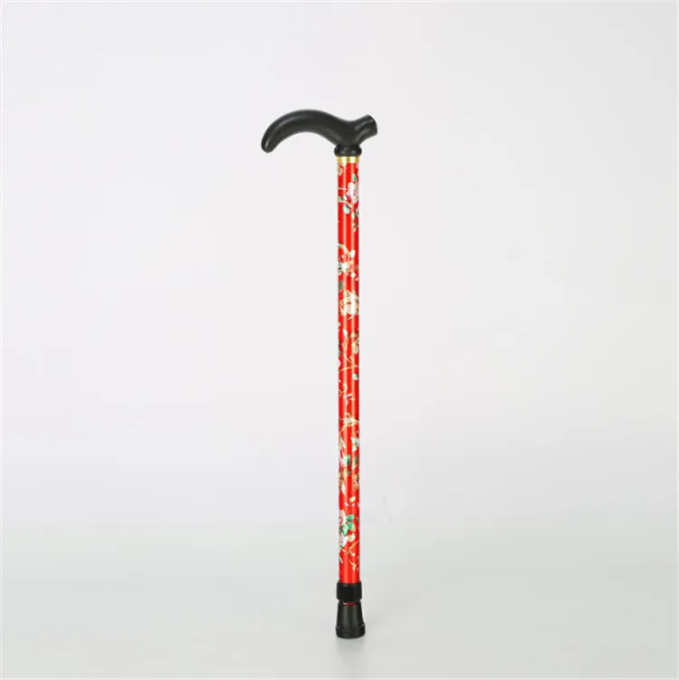 walking stick (5).jpg