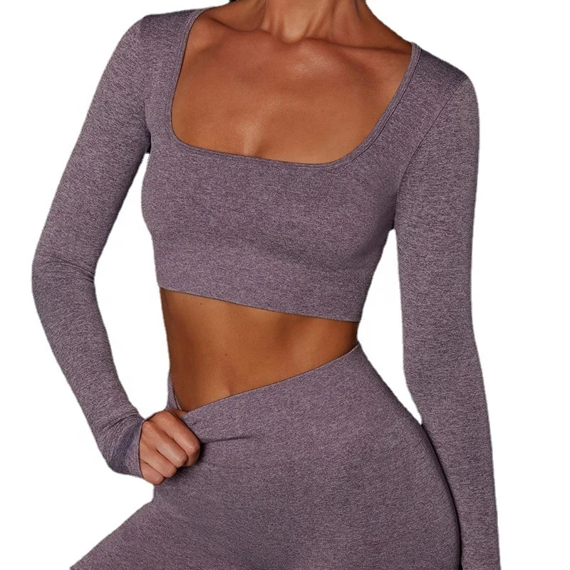 

Fitness Seamless Clothes Yoga Sport Wear Gym Tights Stretch Pants Long Sleeve Yoga Set