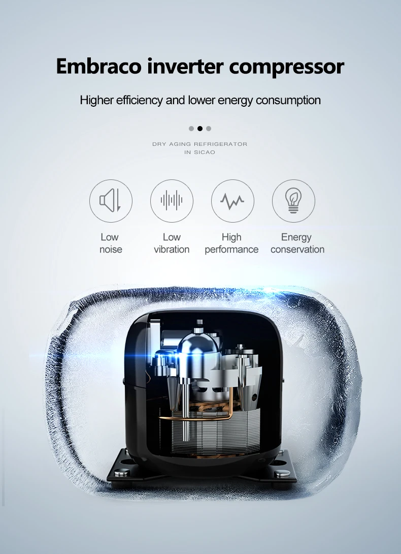 Large Steak Beef Meat Sausage Ham Dry Aging Machine Commercial Display