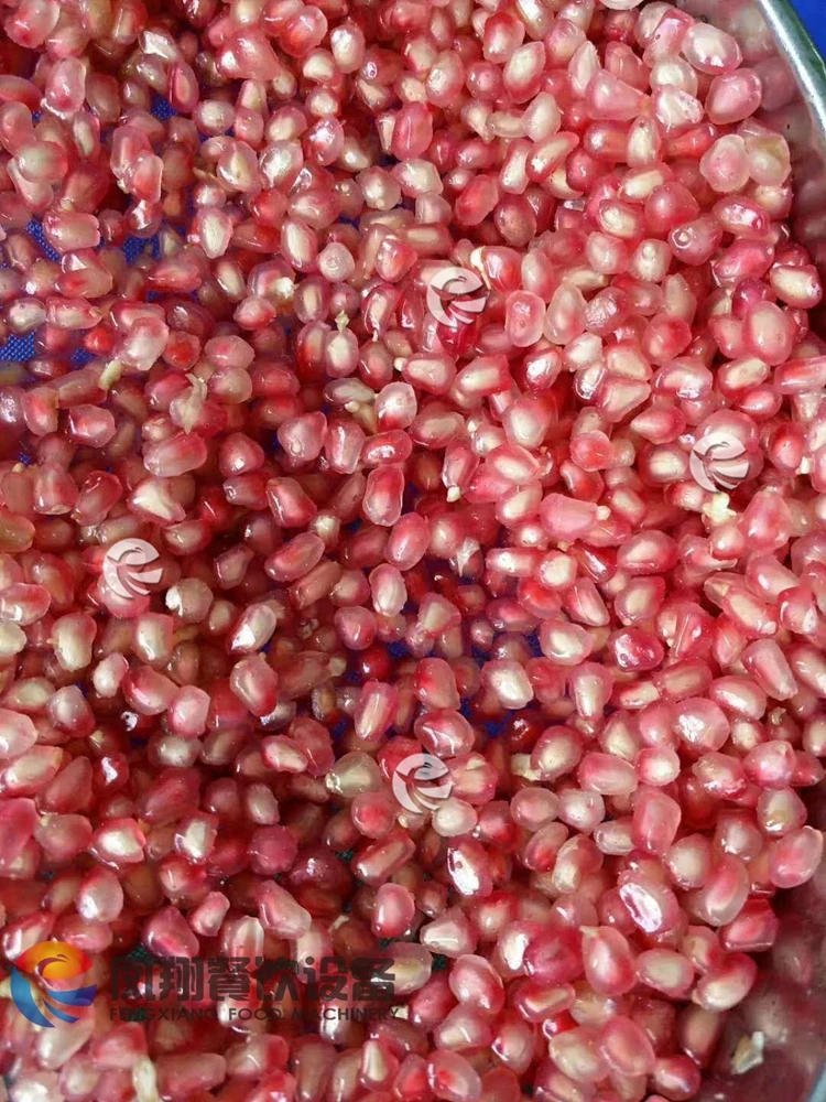 67 Automatic Passion Fruit Pomegranate Seed Deseeder Peeler - China  Grapefruit Peeling Separator, Pomegranate Separating Processing Machine