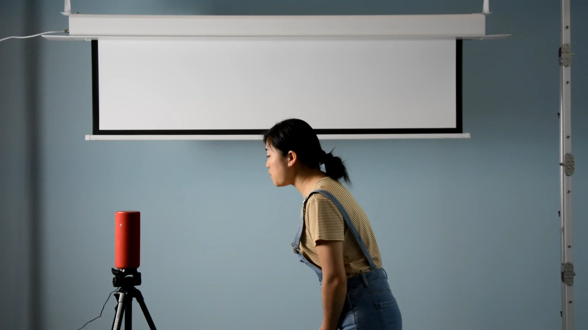 mgf 100inch oem electric in ceiling projector screen motorized