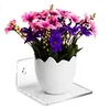 wall mounted display case acrylic floating shelf vase bracket stand holder for home decor