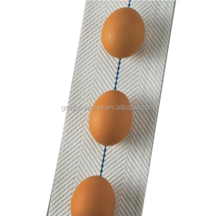 100mm Egg Collecting Belt,Polypropylene Woven Egg Conveyor Belt Buy