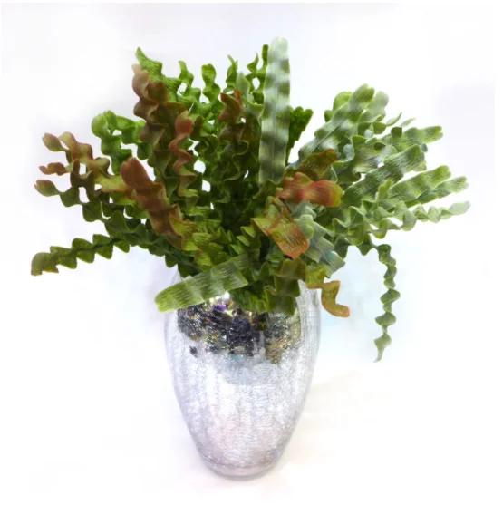 

China Wholesale Hot Selling Realistic Artificial Plant for Home Gardening Decoration