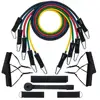 exercise 11 piece resistance tube set