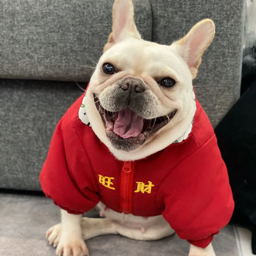 

New Year's Pet Clothes for Dogs Cats Bulldog Schnauzer Teddy Puppy Treasures fill in the home Mahjong Double-sided Jacket Coat