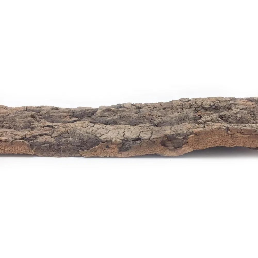
Flat Virgin Bark Cork background 10cm width x 30cm length natural cork bark for reptile terrarium 