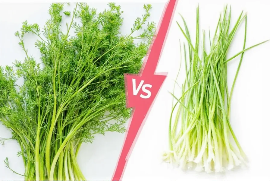 Side-by-side comparison of fresh fennel bulb with feathery fronds and anise seeds in a wooden bowl
