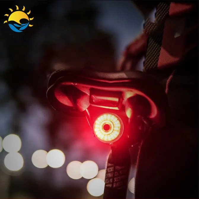 

Intelligent Sensor LED Mountain Bicycle Brake Light USB Rechargeable Warning Light Bike Tail Light