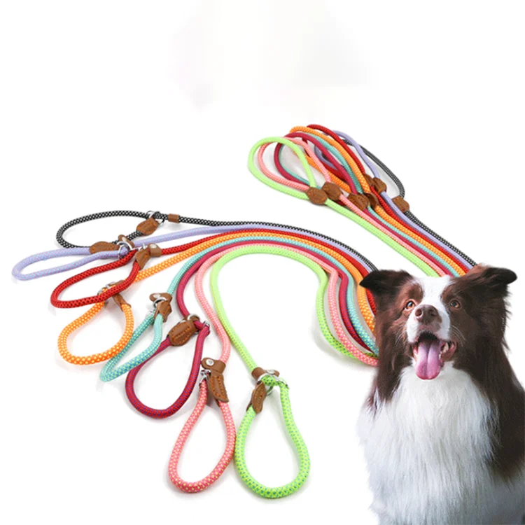 

Durable Comfortable Padded Handle and Reflective Nylon Pet Collar For Dog Braided Leashes