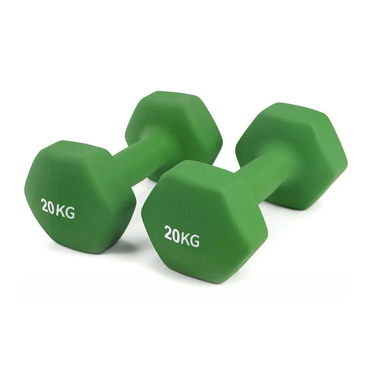 Colorful 1 Kg Dumbbell Set Vinyl Dipping Pvc Neoprene Portable Gym Solid Cast Iron Dumbbell