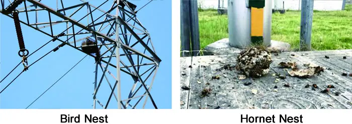 laser-remover (13).jpg