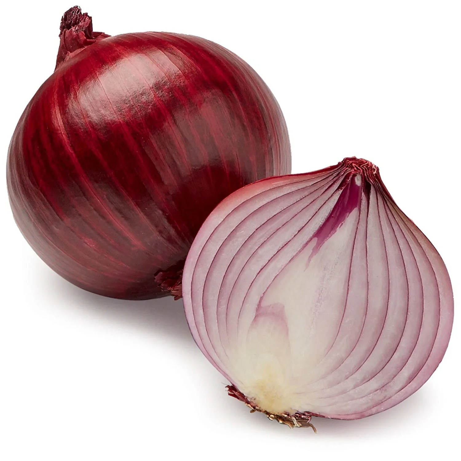 maharastra red onion export quality